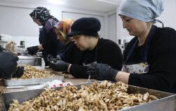 KOSGEB, 53 bin KOBİ’ye destek verecek